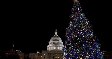 Biden Time: National Christmas Tree Falls Over, Protesters Arrested at Capitol Tree Lighting