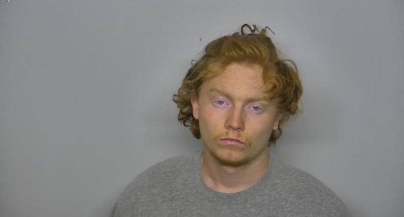 Bismarck man arrested for stealing car seven days after being released from jail