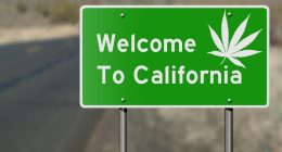 California Rakes In $269.3M Taxes From Cannabis For 3rd Quarter 2023
