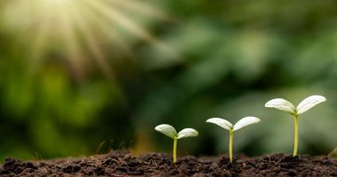 ESG For Entrepreneurs: A Path To Business Success