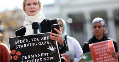 Cynthia Nixon, 57, stood outside the White House on Monday with a group of Palestinian supporters holding up signs. She rallied: 'None of this is normal. None of this is routine and none of this can be allowed to continue'