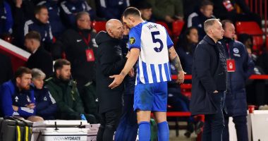 EXPERT VIEW: Anthony Taylor's decision to send off Lewis Dunk for dissent was ABSOLUTELY the right one... referees understand players get frustrated but the Brighton skipper crossed the line