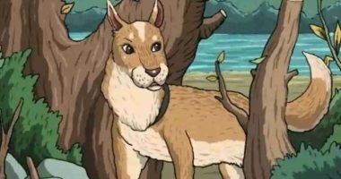 Everyone can see dog and the tree – but only someone with 20/20 vision can spot the hidden cat in under 7 seconds