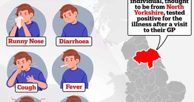 The unidentified individual, thought to be from north Yorkshire, tested positive after visiting their GP with 'respiratory symptoms'. UK Health Security (UKHSA) bosses have yet to identify how they caught the virus. Officials are now racing to track down all contacts of the Brit, who was left battling a 'mild' illness