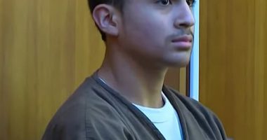 Derek Rosa, 13, looked disorientated and confused as he listened to lawyers and the judge at a brief hearing in Miami