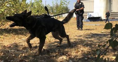 Good Boy! Anchorage K-9 Officer Takes Down Axe-Wielding Attacker