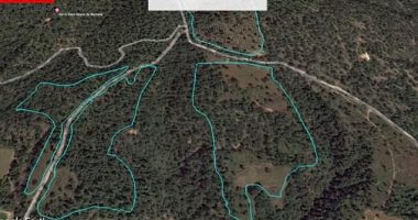 San Gabriel, a municipality in Jalisco, has lost thousands of acres of forest since 2014, mostly due to illegal burning for avocado orchards.