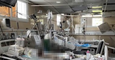Human rights group calls for international probe as footage filmed in Gaza City hospital 'shows decomposing bodies of premature babies left to die in their beds after Israeli forces evacuated medics'