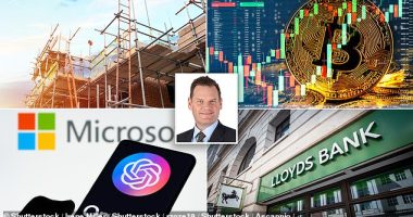 In the hot seat: Each month, we put a fund manager to task with a number of tough questions. Next up we have Alex Crooke, lead portfolio manager of The Bankers Investment Trust