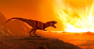 Inside secret ‘toxic apocalypse’ that ‘set the stage for dinosaur extinction’ even without a meteorite