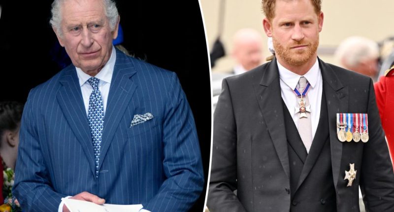 King Charles referred to Prince Harry as 'that fool' after Netflix docuseries, new book claims