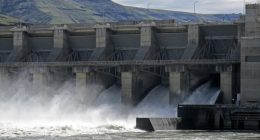 Leaked document says US is willing to build replacement energy projects in case dams are breached