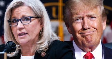 Liz Cheney Blames GOP “Enablers And Collaborators” For “Dangerous” Donald Trump As CNN Reports Details Of Her New Book