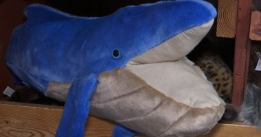 Local toymaker targeted by hackers in middle of holiday rush