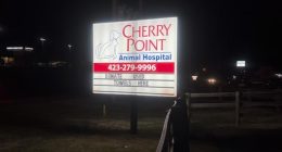 Local veterinarian believes mystery dog illness may have reached the Tri-Cities
