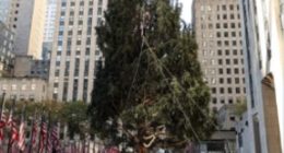 New York City is on high alert after a pro-Palestinian group announced it's plans to 'flood the tree lighting for Gaza ,' ahead the Rockefeller Christmas tree lighting