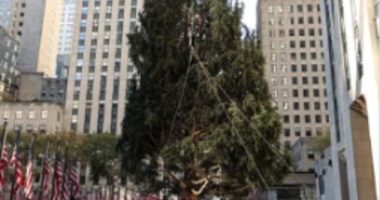 New York City is on high alert after a pro-Palestinian group announced it's plans to 'flood the tree lighting for Gaza ,' ahead the Rockefeller Christmas tree lighting