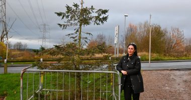 Our town’s Christmas tree is the UK’s ‘WORST’ – you can get a better one for £55 on the high street…it looks like a twig