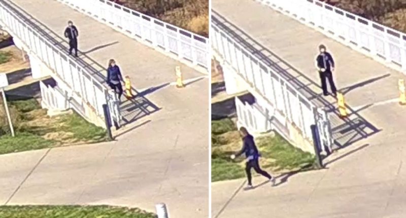 Police Identify Suspect In Attack On Former Sen. Martha McSally