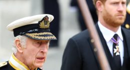 Prince Harry, Meghan Markle Call Truce With King Charles, End Feud By Extending Birthday …