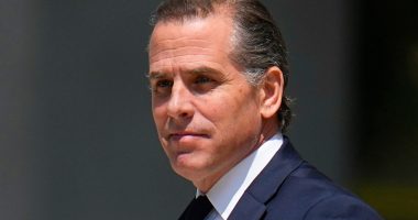 Public or private: Burchett not worried how Hunter Biden testifies