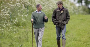 RICHARD KAY: Of course there are differences between Charles and William, but Omid Scobie's version of events is no more than a parody of the truth