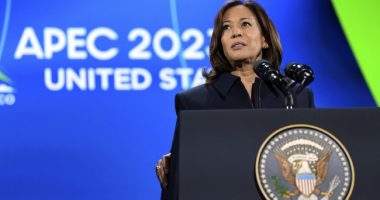 Rep. Ro Khanna Falters When Hit With Question About Kamala Harris Being a Heartbeat From the Presidency