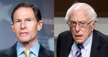 Senate Democrats meet with IDF officials to discuss Israel-Hamas war