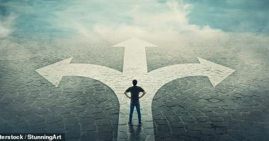 Investment choice: Can I get a financial adviser to help me pick the best funds available in my work pension scheme?