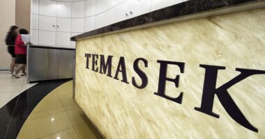 Temasek net portfolio value soars, divestments hit over 2-decade high