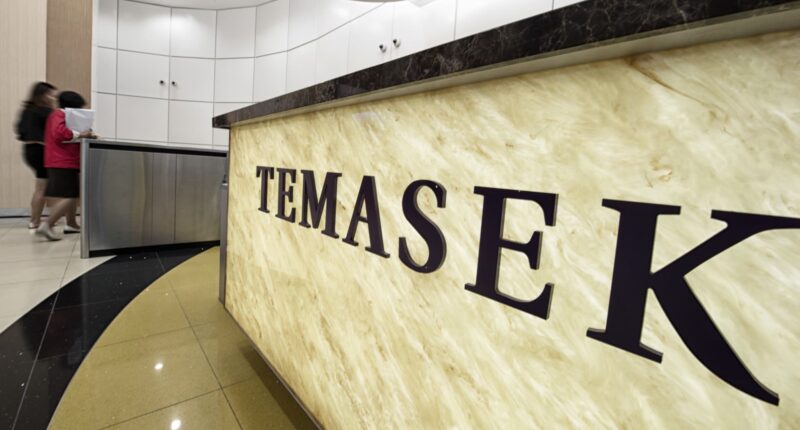 Temasek net portfolio value soars, divestments hit over 2-decade high