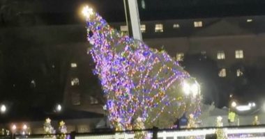 Social media responds after the strong winds knocked down the White House's 40ft Christmas Tree: 'Perfectly summing up Joe's presidency'