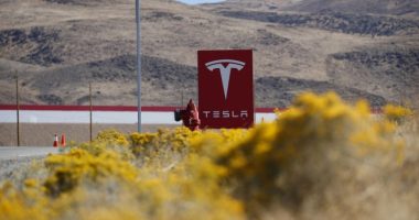 Tesla Cybertruck to Debut With $50,000 Price Tag