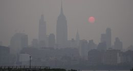 New York Real Estate Broker Flooded With Calls From Wealthy Residents Looking to Flee
