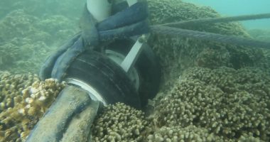 WATCH: Underwater video shows stuck Navy plane's tires touching coral reef