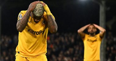 Wolves star Mario Lemina says 'I GIVE UP' while Matheus Cunha insists 'we are tired of hearing excuses'... after referee Michael Salisbury admitted he 'got it wrong' in Fulham defeat