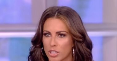 Griffin: Left Says 'We Stand with Journalists' Unless They Critically Cover Dems