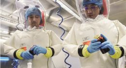 Covid WAS clearly the result of genetic engineering in China. If the inquiry refuses to consider this, the hearings are pointless, says leading scientist PROF ANGUS DALGLEISH