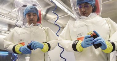 Covid WAS clearly the result of genetic engineering in China. If the inquiry refuses to consider this, the hearings are pointless, says leading scientist PROF ANGUS DALGLEISH