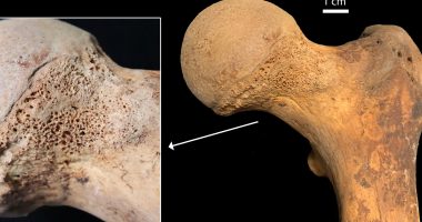 Pre-modern human skeleton found with 'traces of cannabis' in world first discovery – and may have been 'self-medicating'