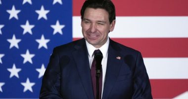 Ron DeSantis Scores Another Major Win Against DEI and Woke Insanity in Florida