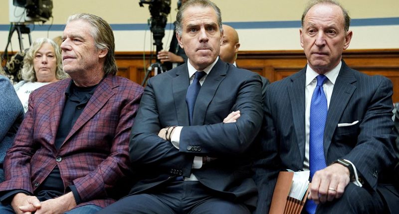 Hunter Biden pleads not guilty to nine federal tax charges at