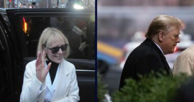Trump just lost to E. Jean Carroll in court — again