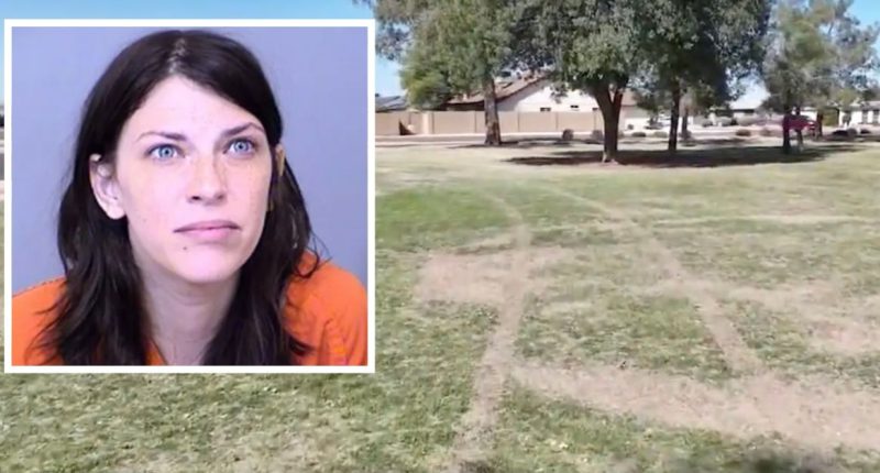 Enraged mom chased down mocking teens at park with truck