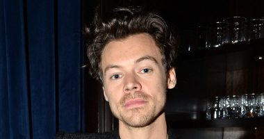 Harry Styles' huge net worth revealed