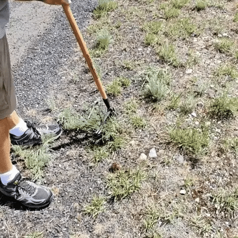 Root'Em'Weed™ Portable Weed Puller - Amazon Top 10 Finds