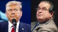 Judge rips into DOJ lawyer with Antonin Scalia reference
