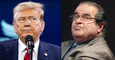 Judge rips into DOJ lawyer with Antonin Scalia reference