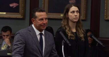 Shanna Gardner's onto jailhouse snitches, even murderers and human traffickers