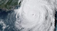 For New Yorkers Looking to Flee, a Cautionary Warning: Florida Is Not the Paradise You May Envision